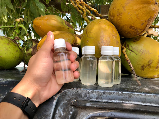 Coco y más... - Visual