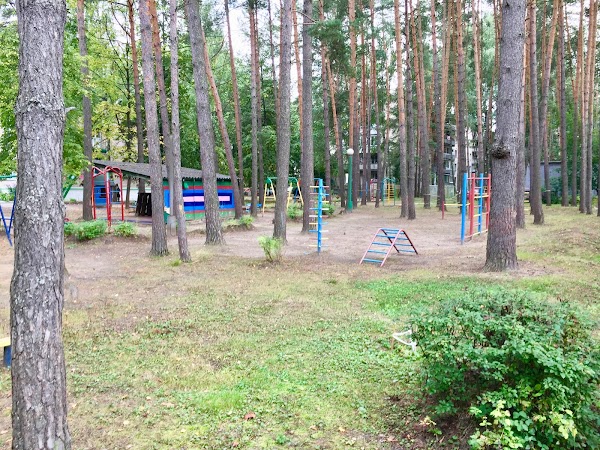 липовский 5 сосновый бор. сосновый проспект. пр героев 37а сосновый бор ленинградская область. сосновый проспект. сосновый проспект.