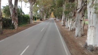 Photos of LA POSTA DE ZONDA