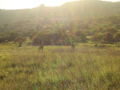 Photos of Nxala Ranch