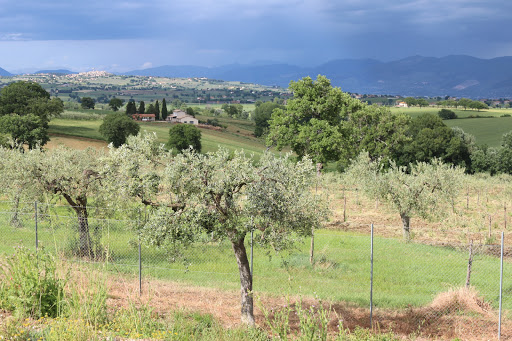 Tenuta Mondi i Colli - Thumbnail