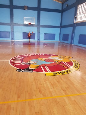 Home Court Gym, Author: Reginald Antiojo