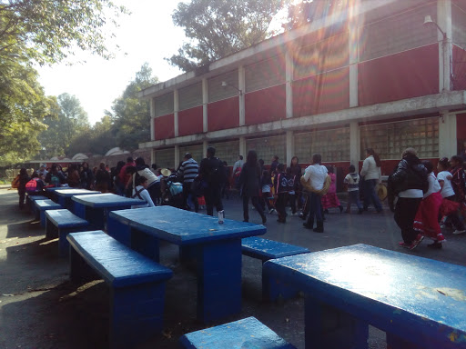 Escuela Primaria Luis Hidalgo Monroy (anexa a la BENM) - Thumbnail