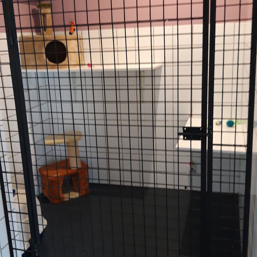 Photo de pension Du Domaine Normand