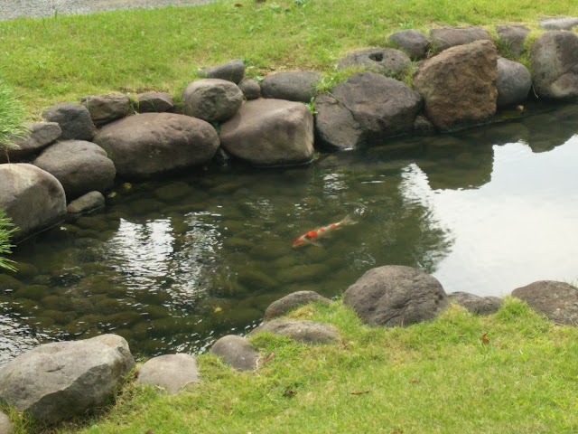 Kyu Shiba Rikyu Garden