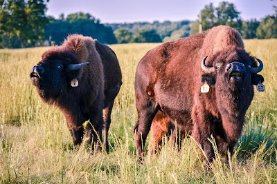 White Lightning Ranch