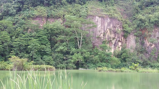 Bukit Timah Nature Reserve