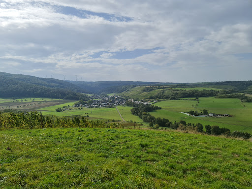 Aussichtsplatz Frohnbachblick