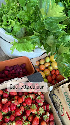 Photo n°8 de Restaurant Trésors de Campagne près de Limoux à Villarzel-du-Razès (Hôtel)