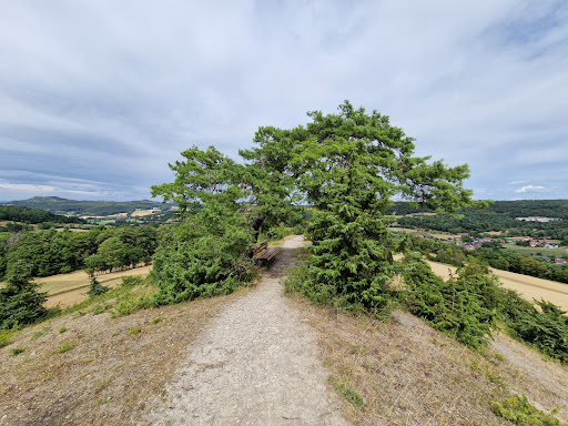 Weinhügel - Visual