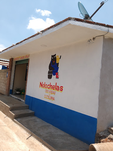 Nolochelas - Visual