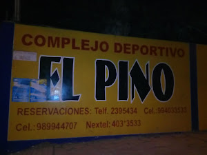 villa deportiva el pino 5