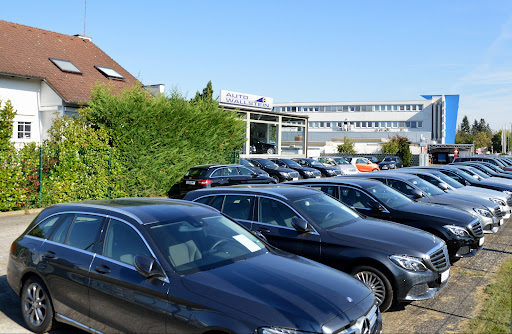 Auto-Wallstein - Visual
