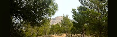 Photos of Camping Pinar del Rey