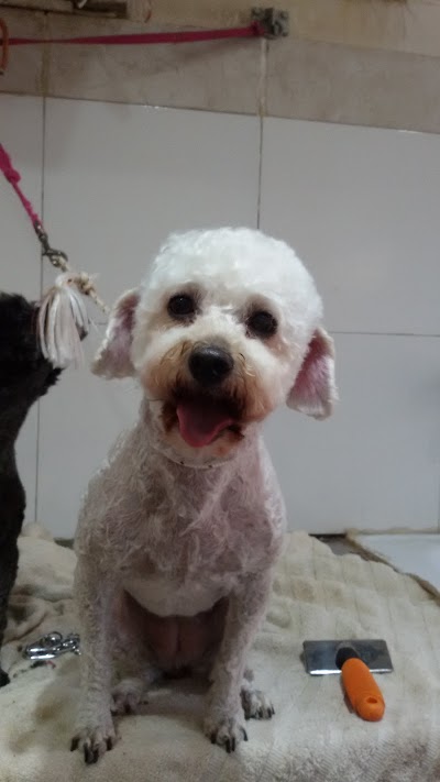 Photos of San Roque veterinary