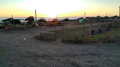 Photos of ESTADIO ILOCA