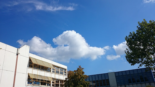 Tannenbusch-Gymnasium