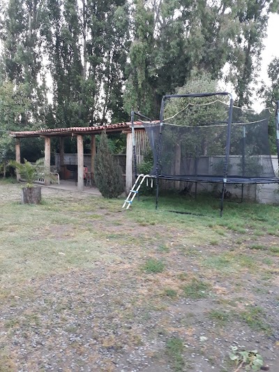 Photos of Supermarket "Las Araucarias"