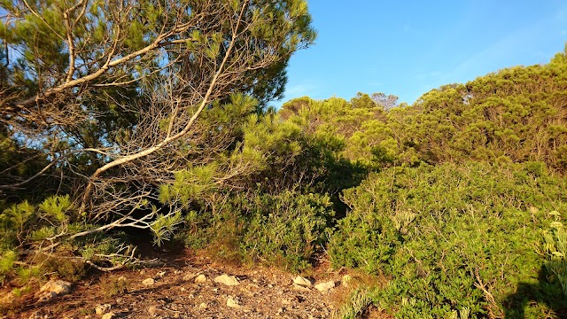 Punta Galera