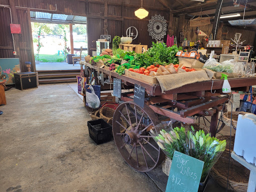 The Harvest Kitchen - Thumbnail