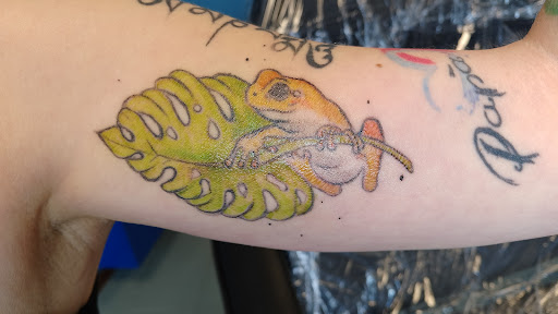 Janus Tattoo Studio - Thumbnail
