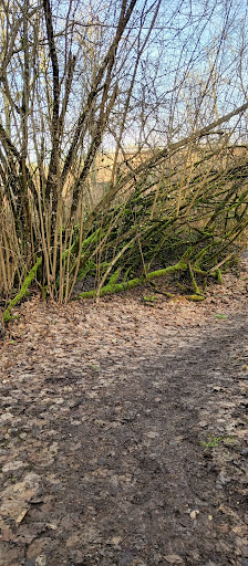 Bates Trail - Visual