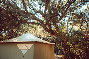 Photo n°57 de Camping Santa Lucia à Zonza (Terrain pour camping-cars)