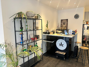 Photo n°11 de OLD GREEN | CBD SHOP Château-Thierry à Château-Thierry (Magasin bio)