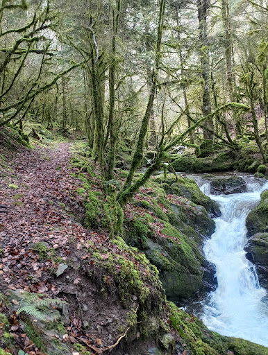 Sentier du ruisseau d'Ardengost