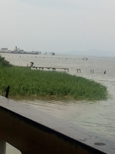 Photos of Fish Pond