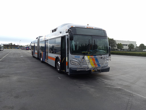 Mass Transit Division - Visual