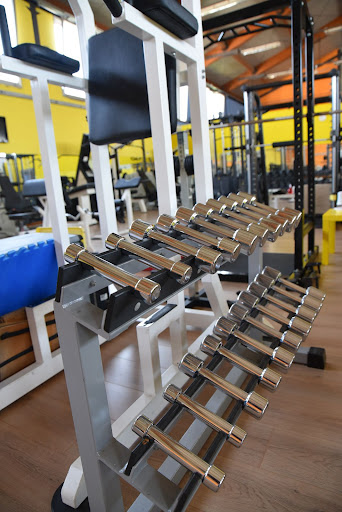 Palestra Kinesis - Thumbnail