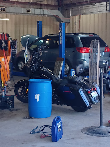 Gator's Garage - Visual