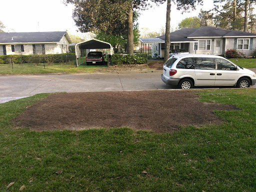 DDT INC. Stump Removal - Thumbnail