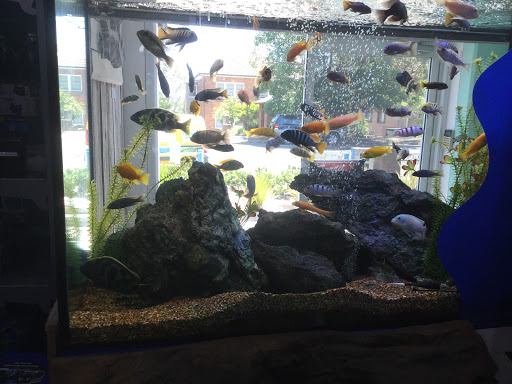 ARC Aquariums - Thumbnail