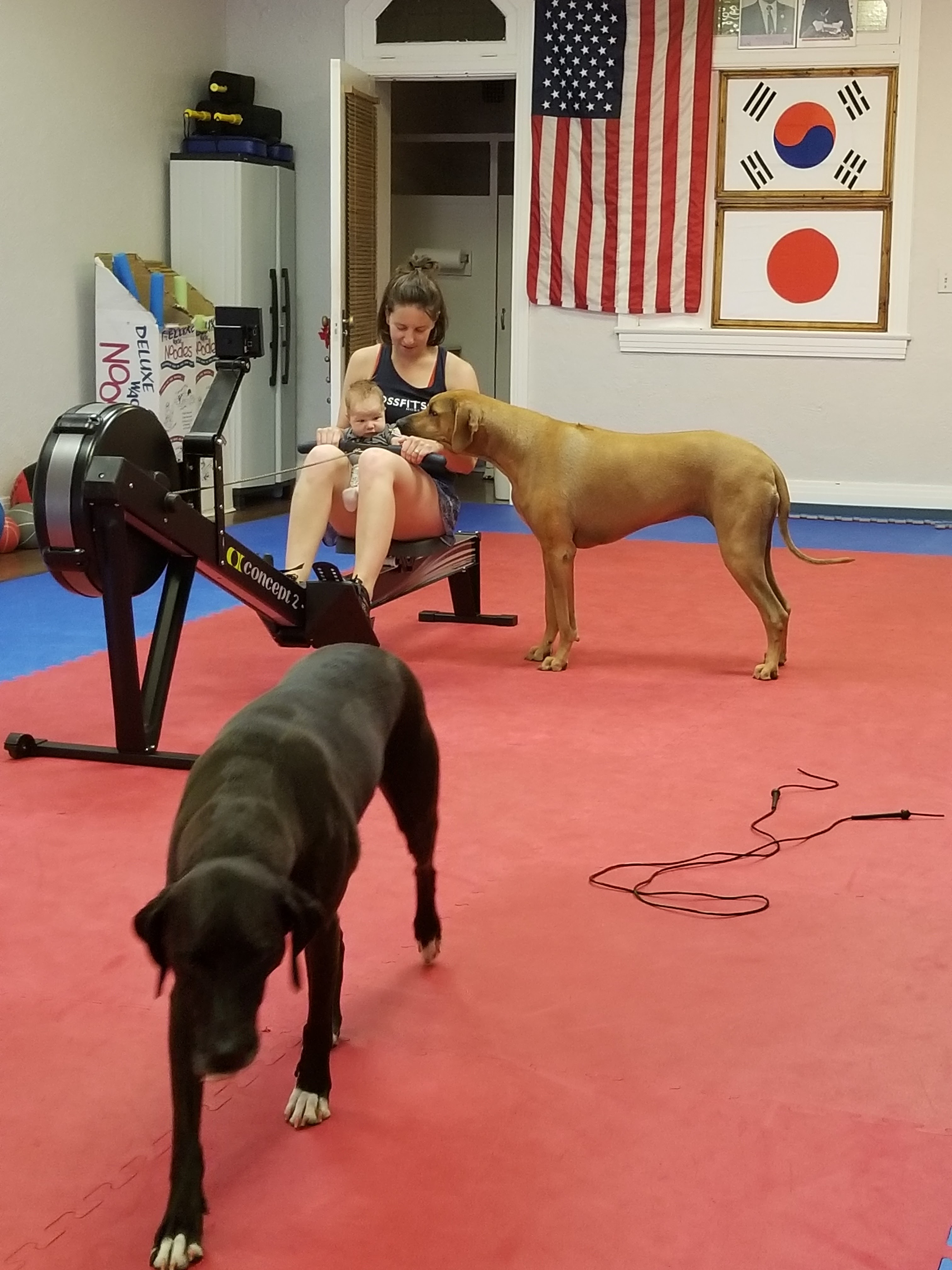 540 Martial Arts photo 3