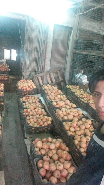 Photos of Goods Manar