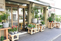 Blumstein créateur floral Fleuriste créateur à Strasbourg