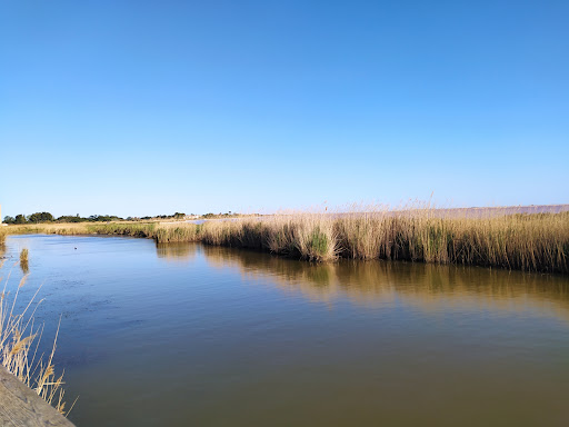 Aigues mortes - Thumbnail