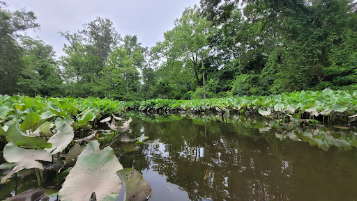 Roger C. Fisher Laurel River Park - Thumbnail