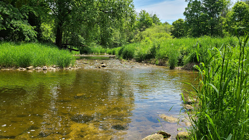 Bannockburn Conservation Area Gallery - Canada
