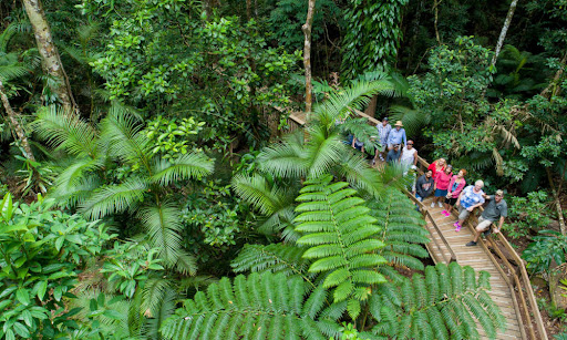 PORT DOUGLAS TOUR CENTRE - Thumbnail