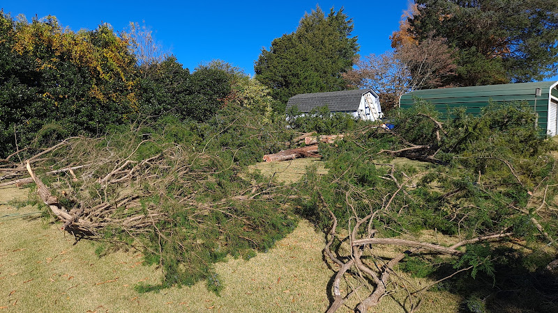 Prado Tree Services and Landscaping