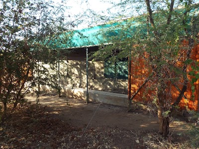 Photos of Tilodi Safari Lodge