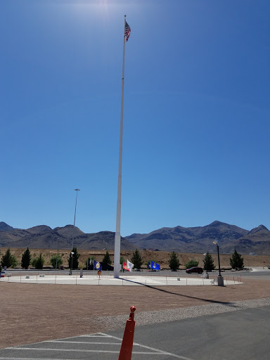 Sue Young Park - Thumbnail