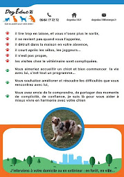 Photo n°8 de Dog Educ 18 à Saint-Doulchard (Dresseur d'animaux de compagnie)