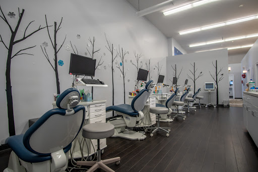 CT Braces - New Haven Orthodontics