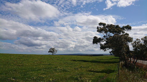 Mount Lindesay National Park Gallery - Australia