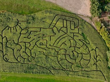 Brooks Corn Maze - Visual