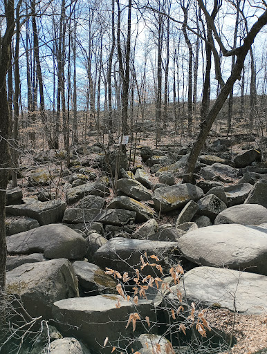 Roaring Brook - Thumbnail